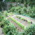 Partager son jardin