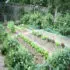 Partager son jardin