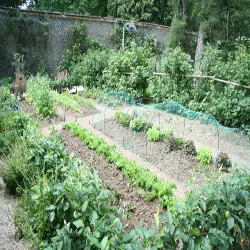 Le jardin à partager : la solidarité en action