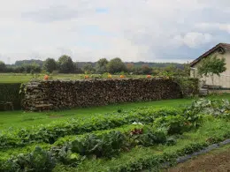 Les bienfaits du jardinage sur la santé