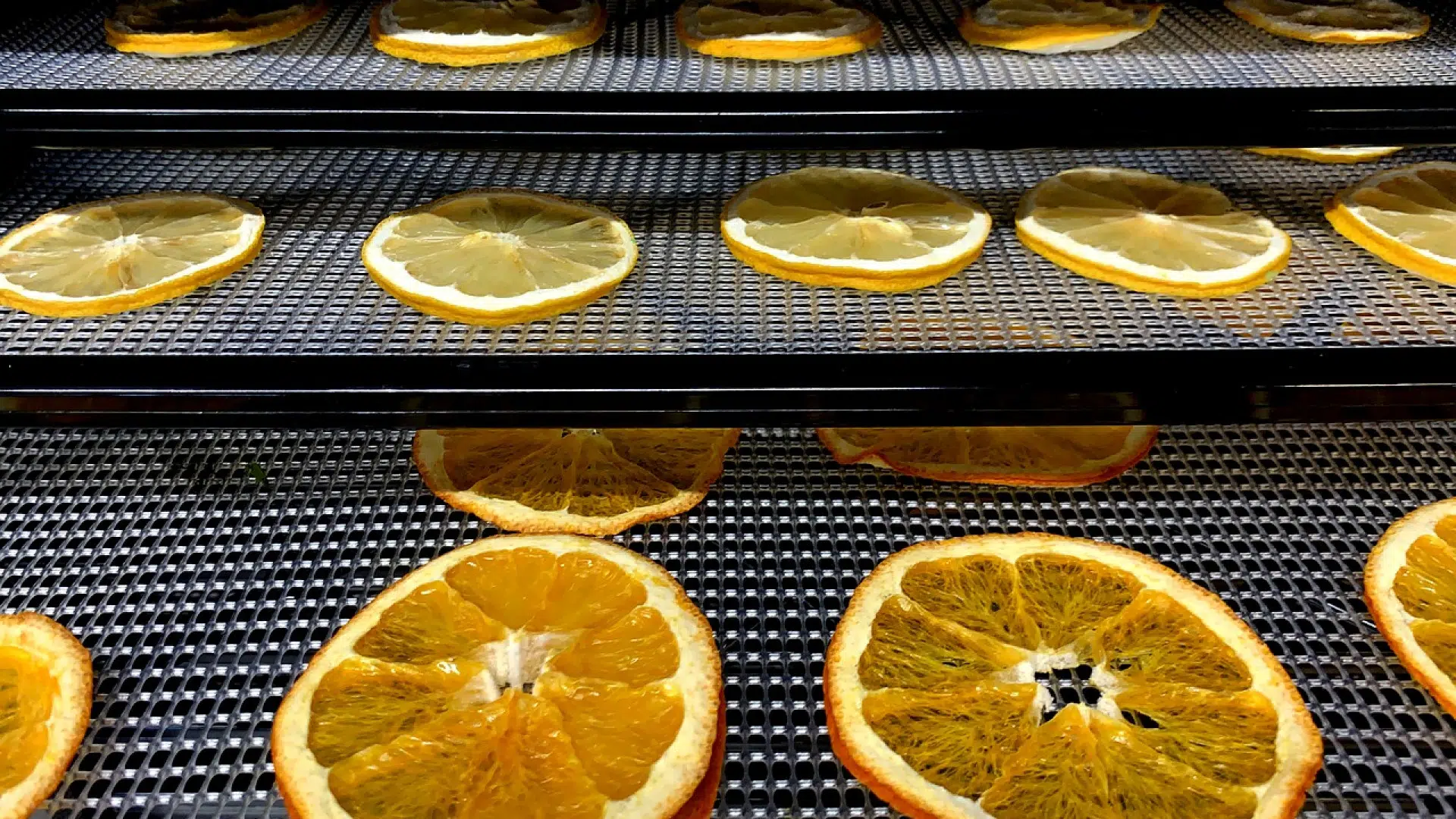 02 raisons de vous équiper en déshydrateur alimentaire