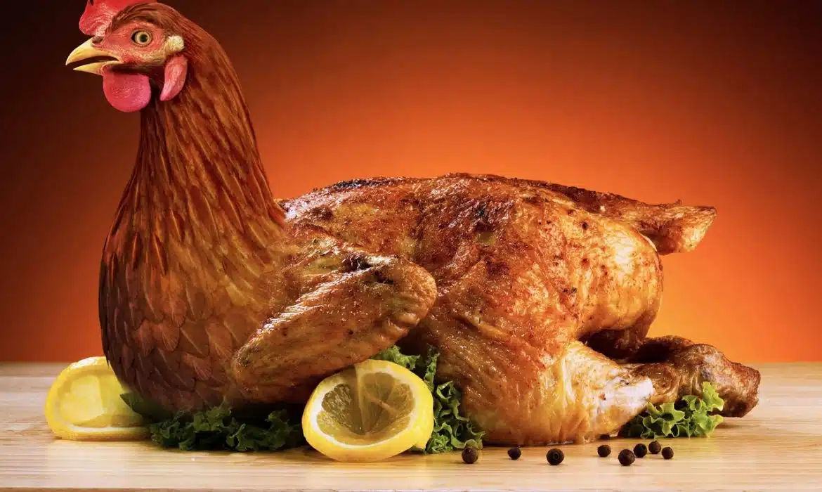 Comment savoir si la viande de poulet est toujours bonne ?