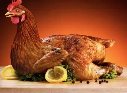 Comment savoir si la viande de poulet est toujours bonne ?