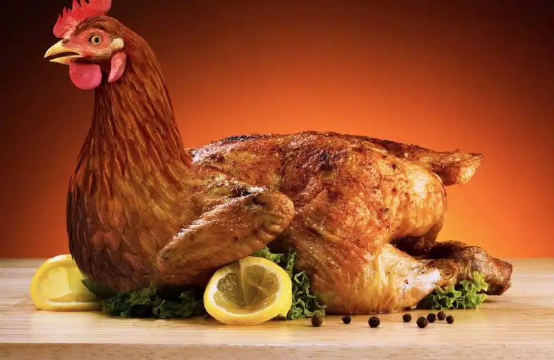 Comment savoir si la viande de poulet est toujours bonne ?