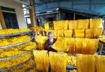 Les meilleurs aliments riches en fibres pour perdre du poids naturellement