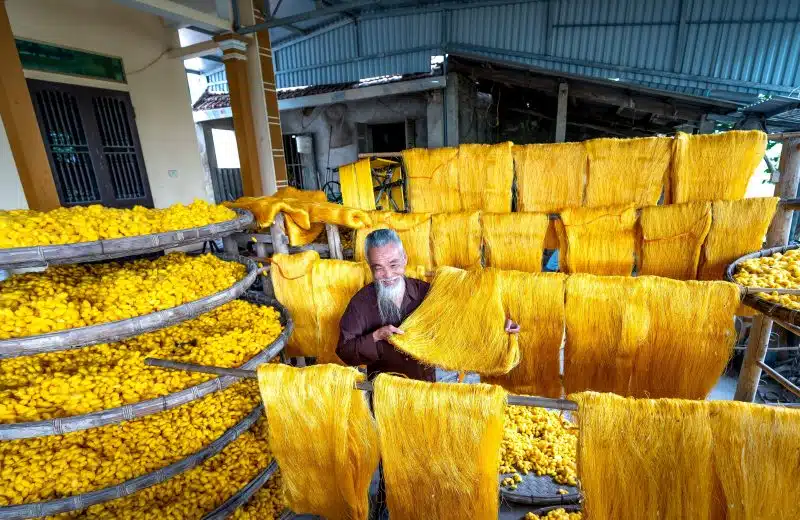 Les meilleurs aliments riches en fibres pour perdre du poids naturellement