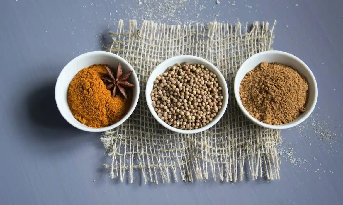 Les multiples bienfaits pour la santé de l’utilisation des épices en cuisine