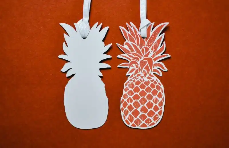 Les multiples bienfaits des aliments brûle-graisses pour une silhouette harmonieuse