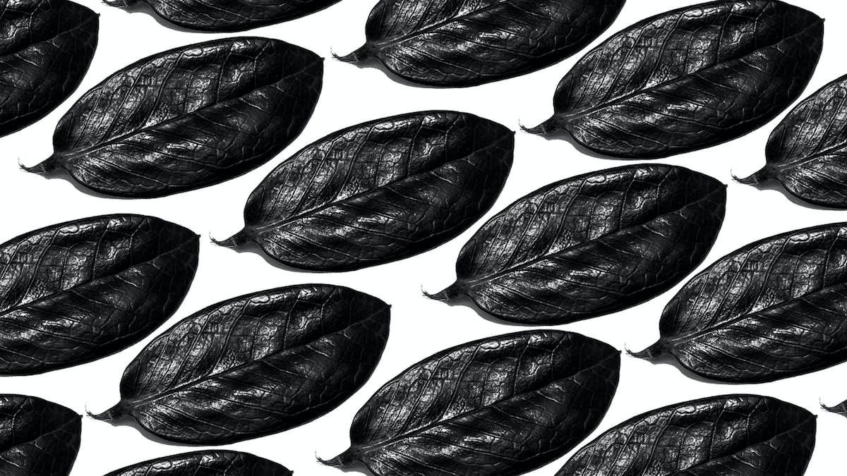 aliments  silhouette