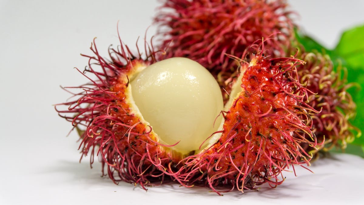 aliments naturels