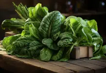 Top légumes verts à feuilles pour une alimentation saine et équilibrée