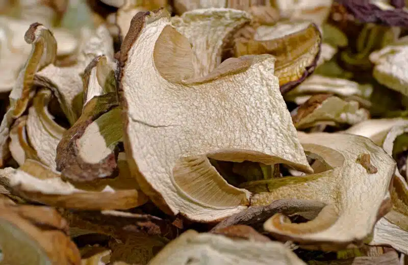 Le cèpe séché : un trésor culinaire à portée de main