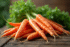 Carottes fraîches avec fanes sur une table en bois naturel